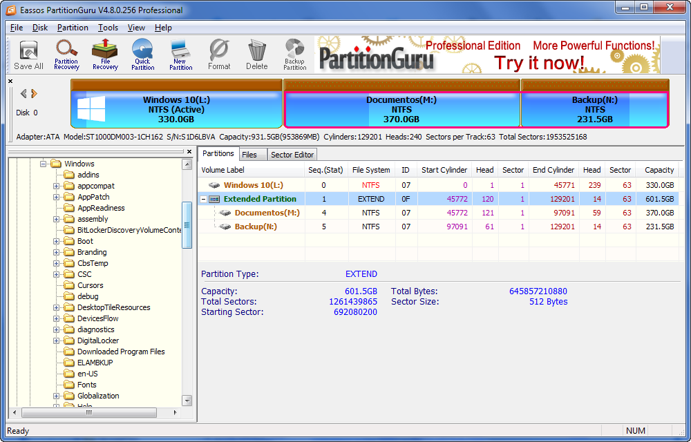 guru key crack PartitionGuru Edition Eassos 4.9.5.508 Professional
