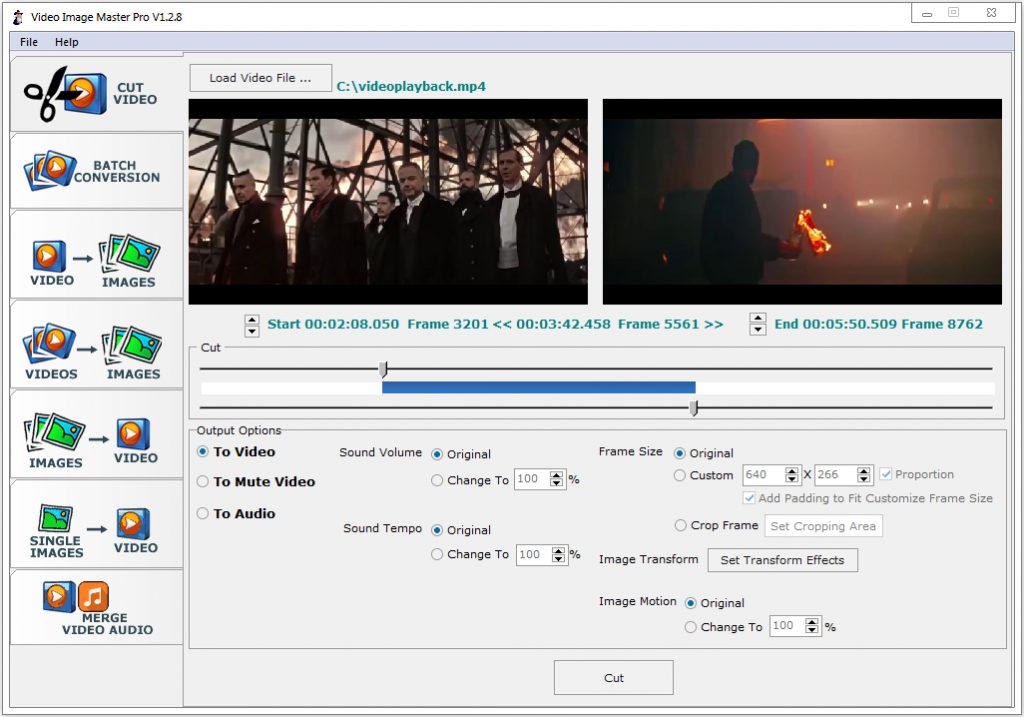 Video Image Master Pro Crack Serial Key