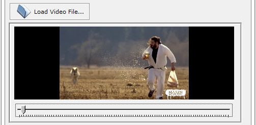 Easy Video Logo Remover Crack Patch Keygen Serial Key