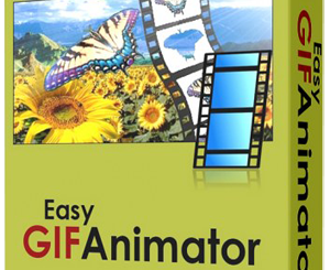 Easy GIF Animator Pro Full Crack