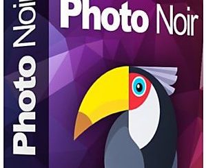 Movavi Photo Noir Crack