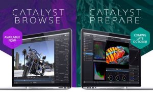 Sony Catalyst Browse Suite 2017 Crack Patch Keygen License Key