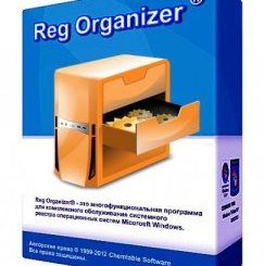 Reg Organizer Crack