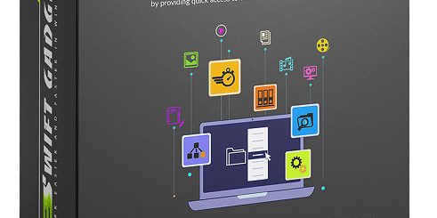 MSTech Swift Gadget Crack