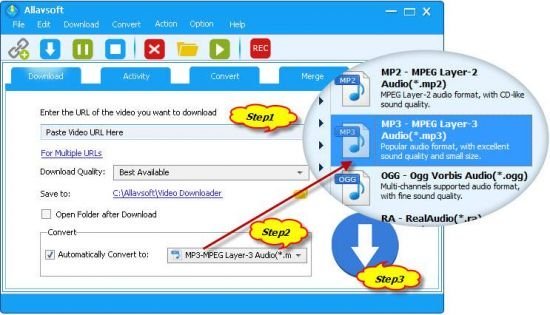 vsoft Video Downloader Converter Crack patch