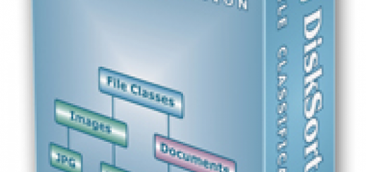 Disk Sorter Crack