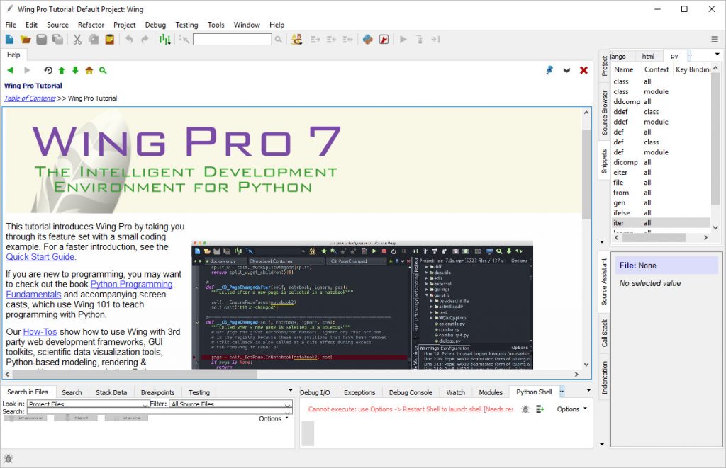 Wing Pro Crack Serial Key