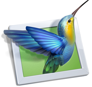 WnSoft PTE AV Studio Pro crack