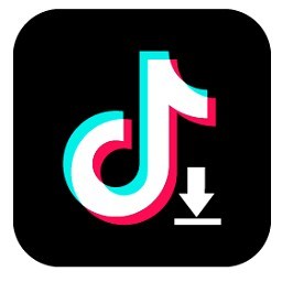 TikTok Downloader Crack Patch