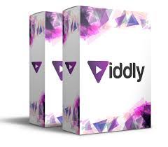 Viddly YouTube Downloader Plus CRcak