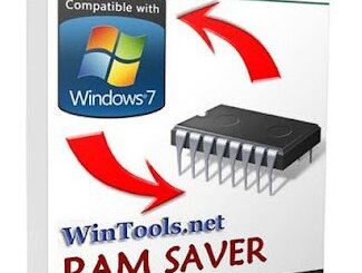 RAM Saver Professional Crack