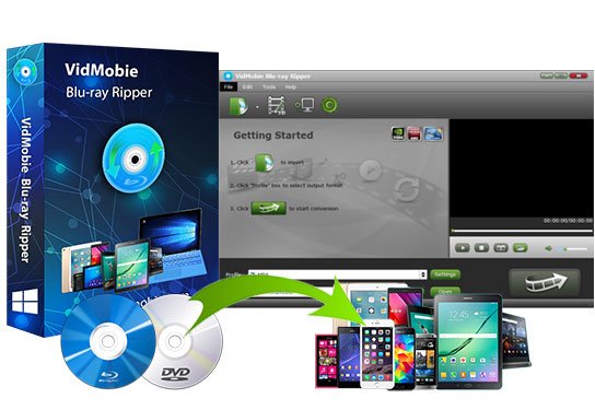 VidMobie Blu-ray Ripper Serial key