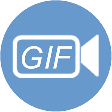 ThunderSoft GIF to Video Converter Patch