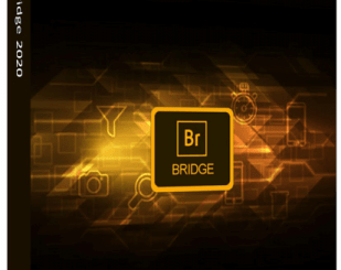 Adobe Bridge Crack