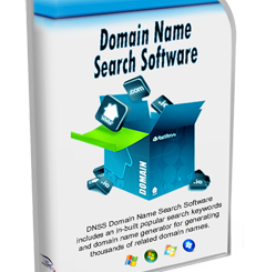DNSS Domain Name Search Software Patch