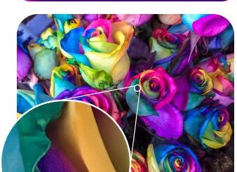 Mediachance AI Photo and Art Enhancer Keygen