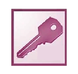 Access Password Get Pro Crack