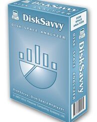 Disk Savvy Pro Keygen