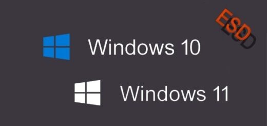 Windows 10 11 Pro Free Download