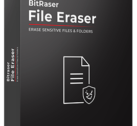 BitRaser File Eraser Standard Crack