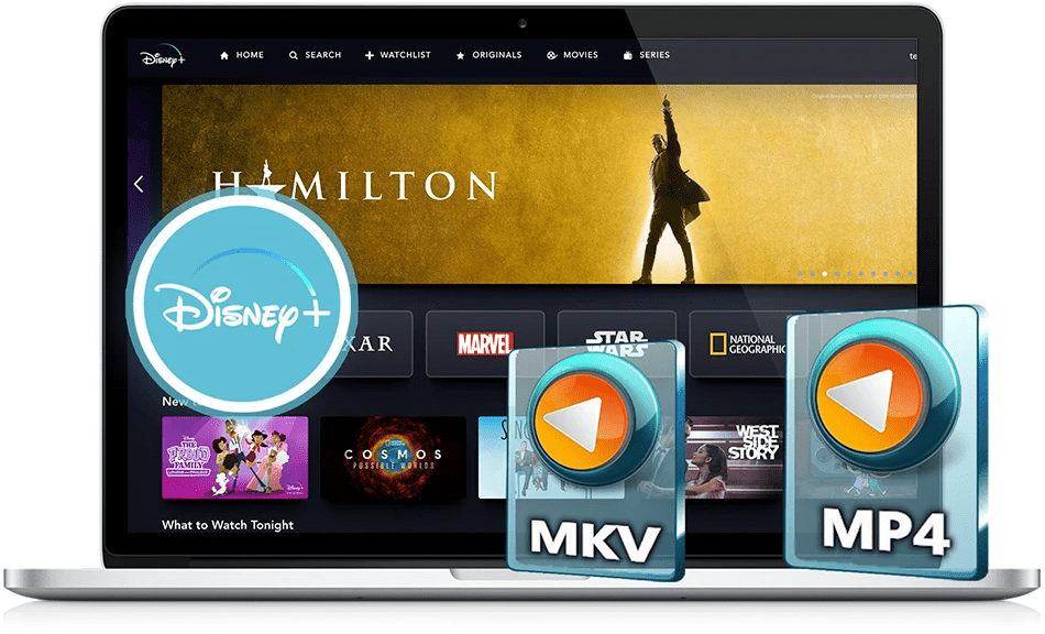 Pazu DisneyPlus Video Downloader Crack Serial Key