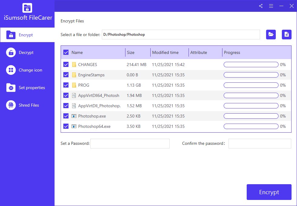 iSumsoft FileCarer Crack
