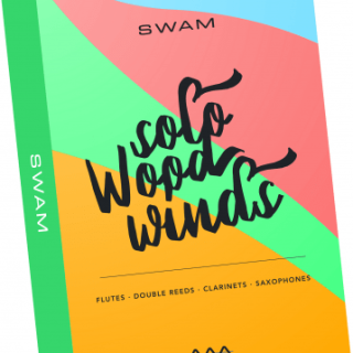 Audio Modeling SWAM Bundle