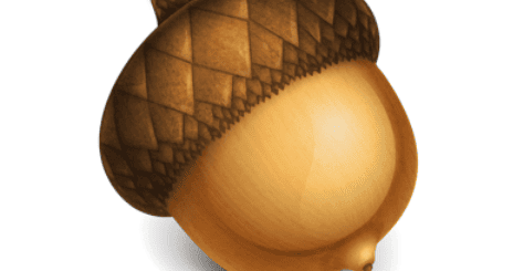 Acorn v8.2.2 macOS
