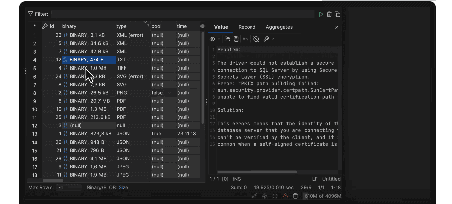 DbVisualizer Pro 25.2.3 (x64)