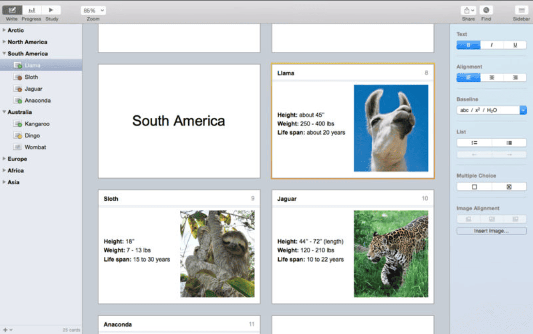 Flashcard Hero v 3.6.2 macOS
