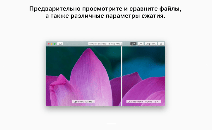 PDF Squeezer 4.5.5 macOS 