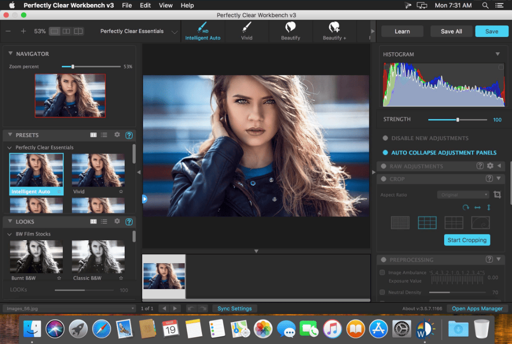 Perfectly Clear WorkBench v4.8.0.2852 macOS