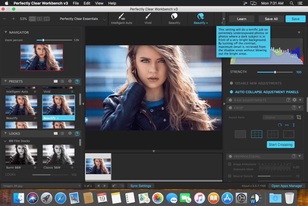 Perfectly Clear WorkBench v4.8.0.2852 macOS