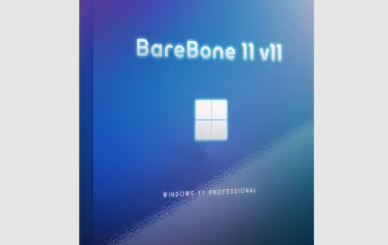Windows 11 Pro SuperLite 24H2 Build 26100.5061 Barebone 11 v11