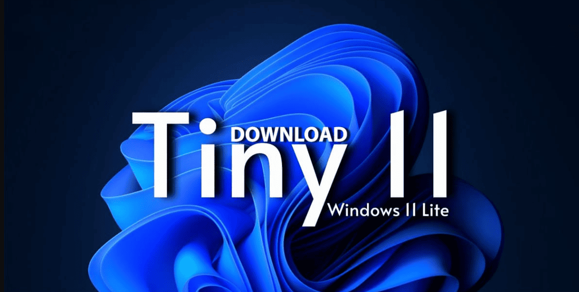 tiny11 Core