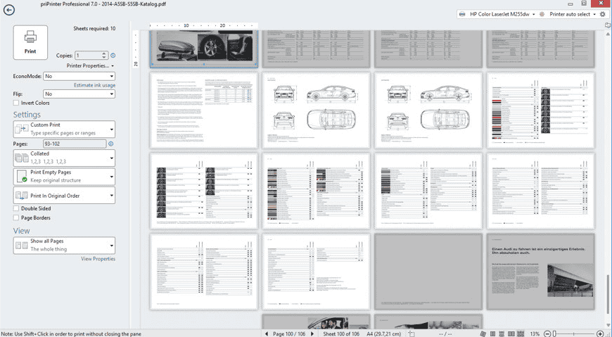priPrinter Professional / Server 7.0.0.2608 Multilingual