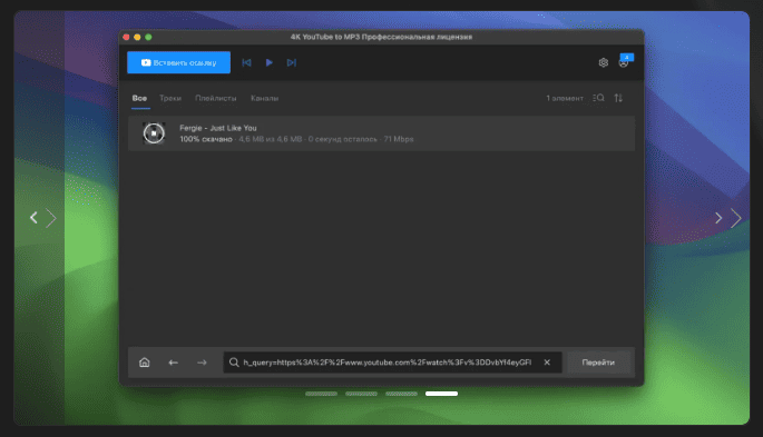 4K YouTube to MP3 Pro v25.3.2 macOS 4