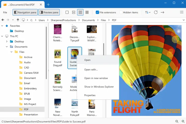 File Viewer Plus