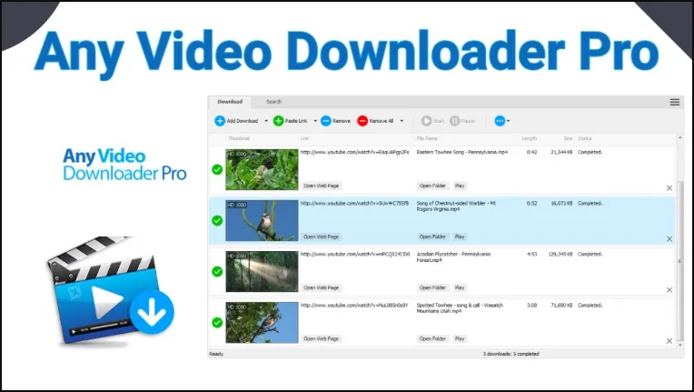 Any Video Downloader Pro
