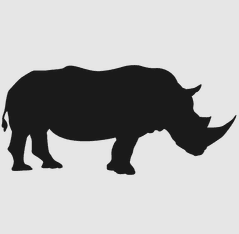 Rhinoceros