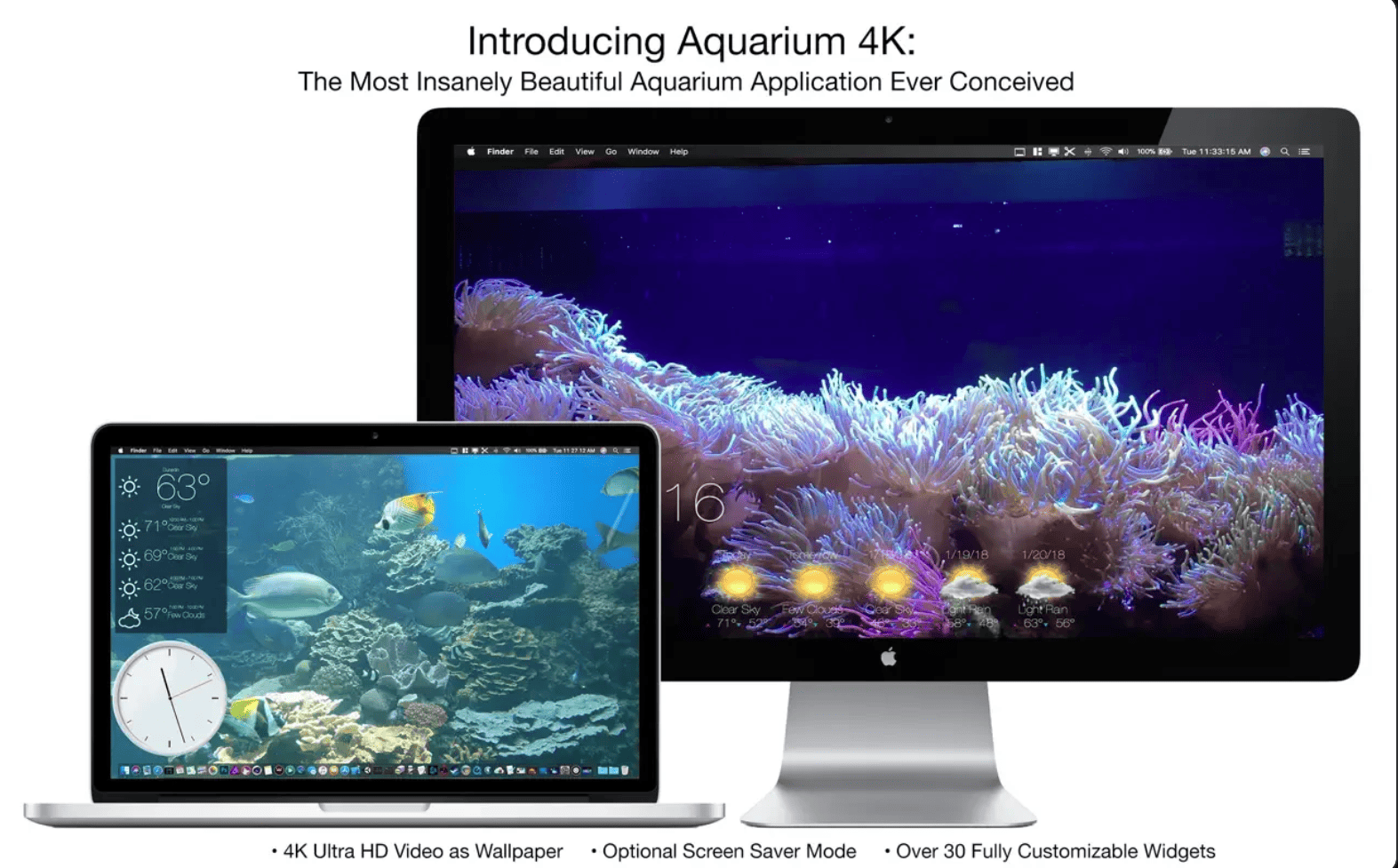 Aquarium 4K - Live Wallpaper v1.1.1 macOS