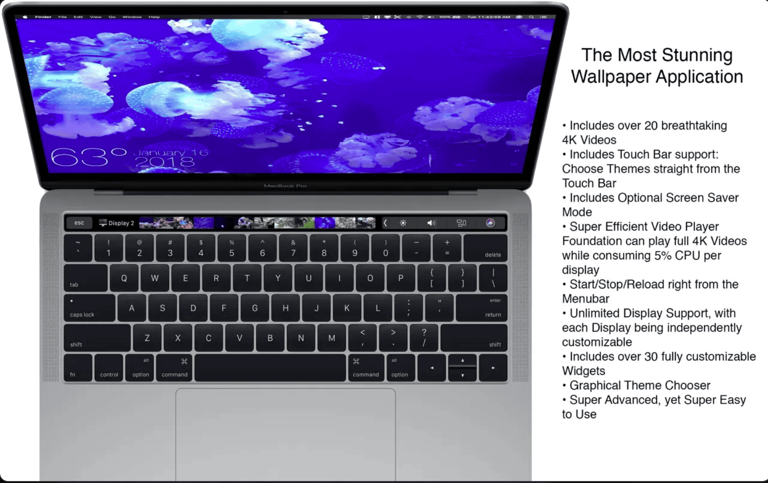 Aquarium 4K - Live Wallpaper v1.1.1 macOS