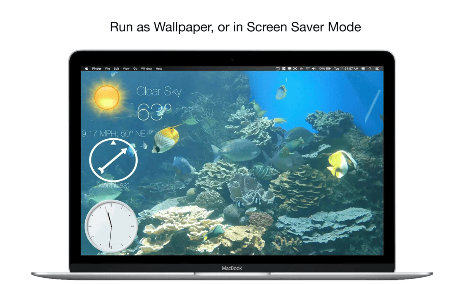 Aquarium 4K - Live Wallpaper v1.1.1 macOS