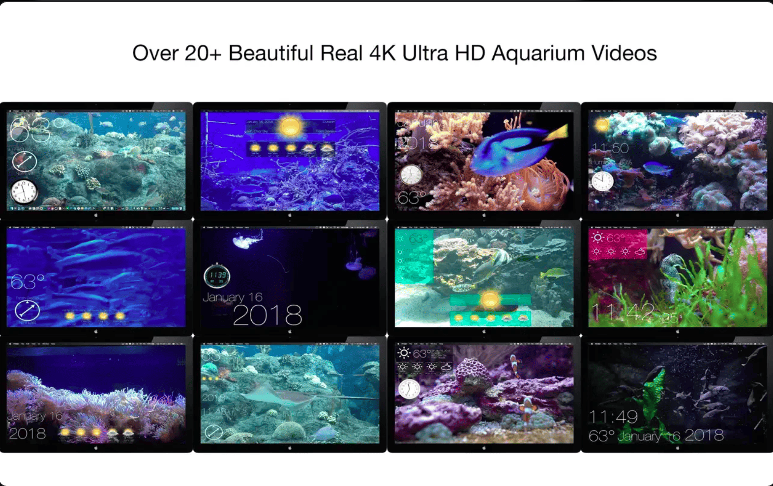 Aquarium 4K - Live Wallpaper v1.1.1 macOS