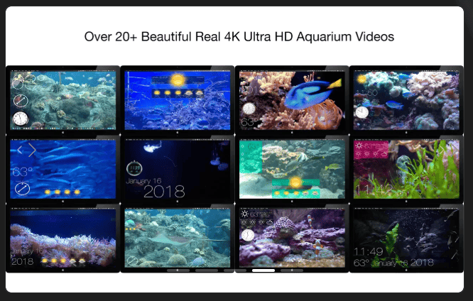Aquarium 4K - Live Wallpaper v1.1.1 macOS 4