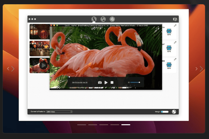 Cisdem Video Converter v9.0.0 macOS 5