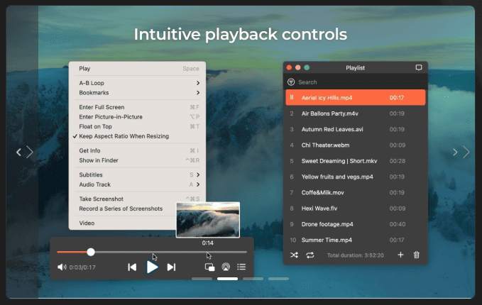 Elmedia Player Pro v8.23 macOS 2