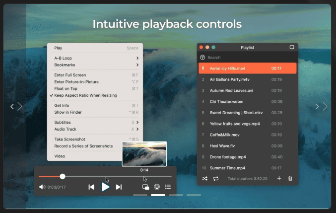 Elmedia Video Player Pro v8.23 macOS 2