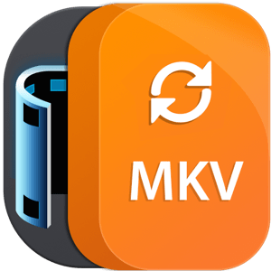 Aiseesoft MKV Converter 9.2.22 macOS

