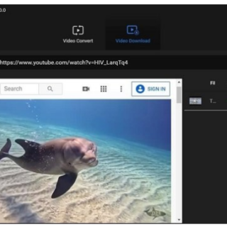 MiniTool Video Converter 4.6.0